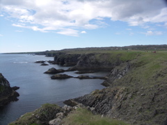 PICT0350.JPG