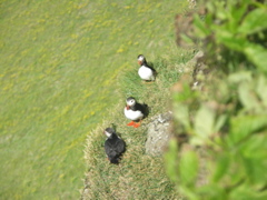 PICT0832.JPG